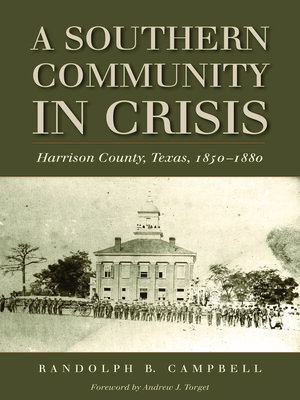 cover image of A Southern Community in Crisis